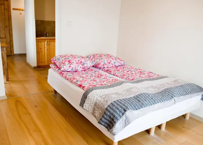 U Bohuna Jacuzzi & Sauna Lejlighed Zakopane