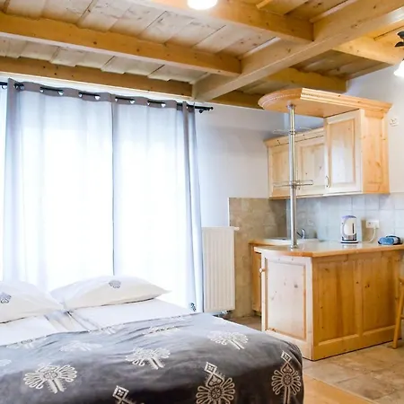 U Bohuna Jacuzzi & Sauna 아파트 *