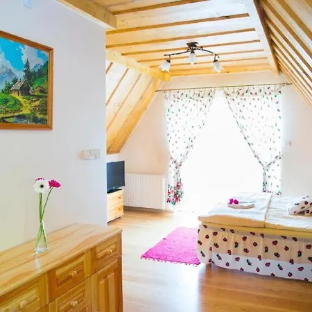 U Bohuna Jacuzzi & Sauna Апартаменты Закопане